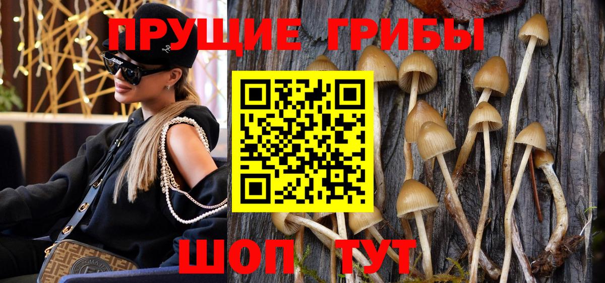 Подольск  Галлюциногенные грибы мицелий  Вход с VPN 