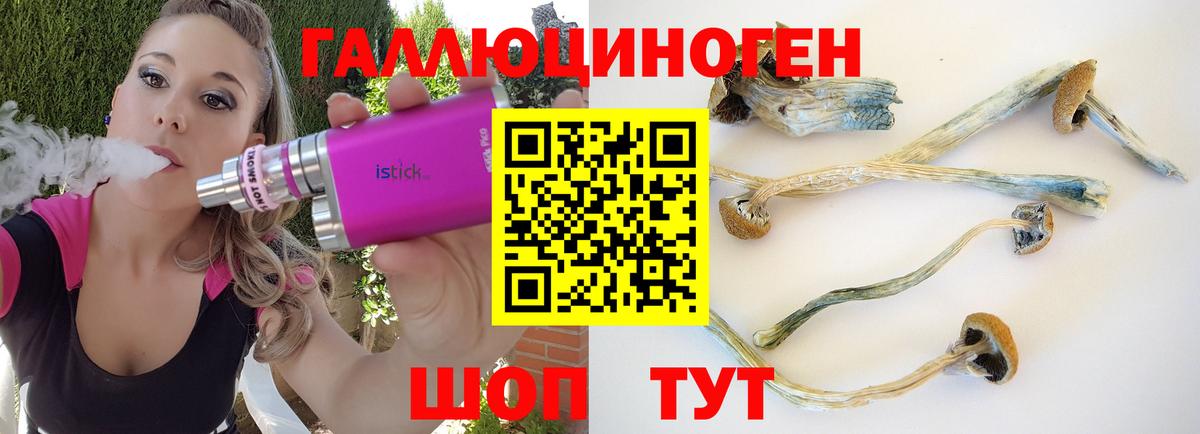 Псилоцибиновые грибы ЛСД Подольск
